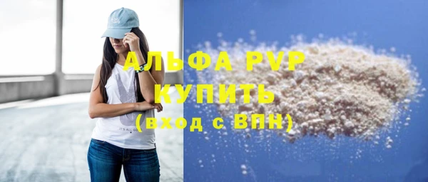 сатива Коряжма
