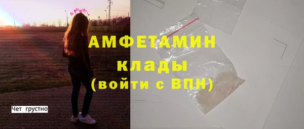 сатива Коряжма