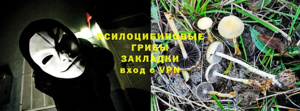 крисы Красноперекопск