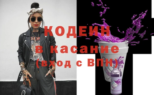 сатива Коряжма