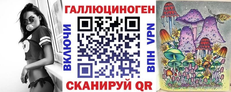 Купить Аргун Галлюциногенные грибы Cubensis